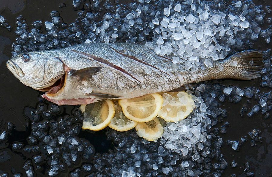 Discover the amazing benefits of fish and keep that healthy eating resolution in 2017