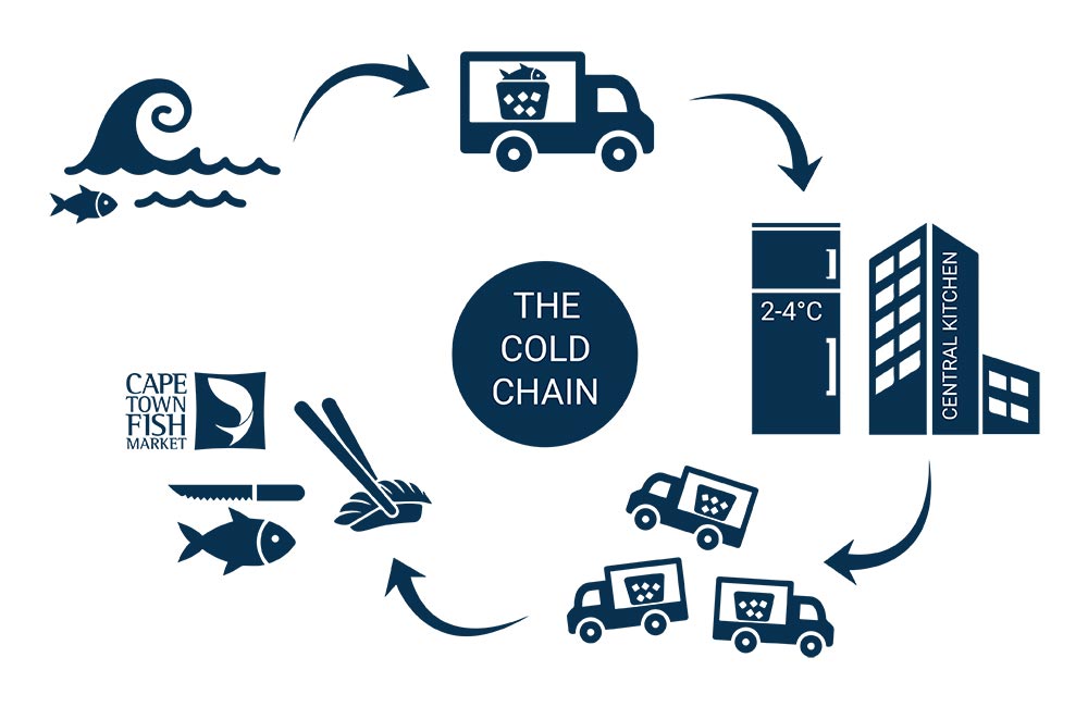 CTFM Cold hain infographic