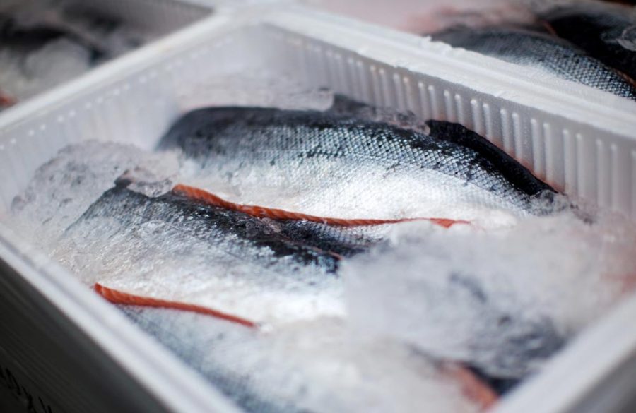 Here’s how CTFM serves fresh fish from coast to coast – and everywhere in between