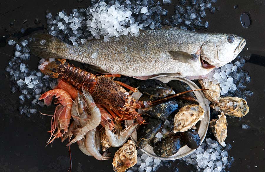 Fresh Seafood at Cape Town Fish Market