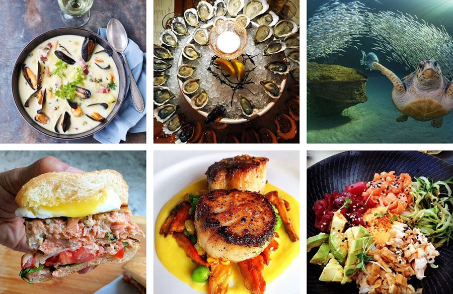 Great Instagram accounts for seafood lovers
